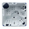 Platinum Spas - Trident